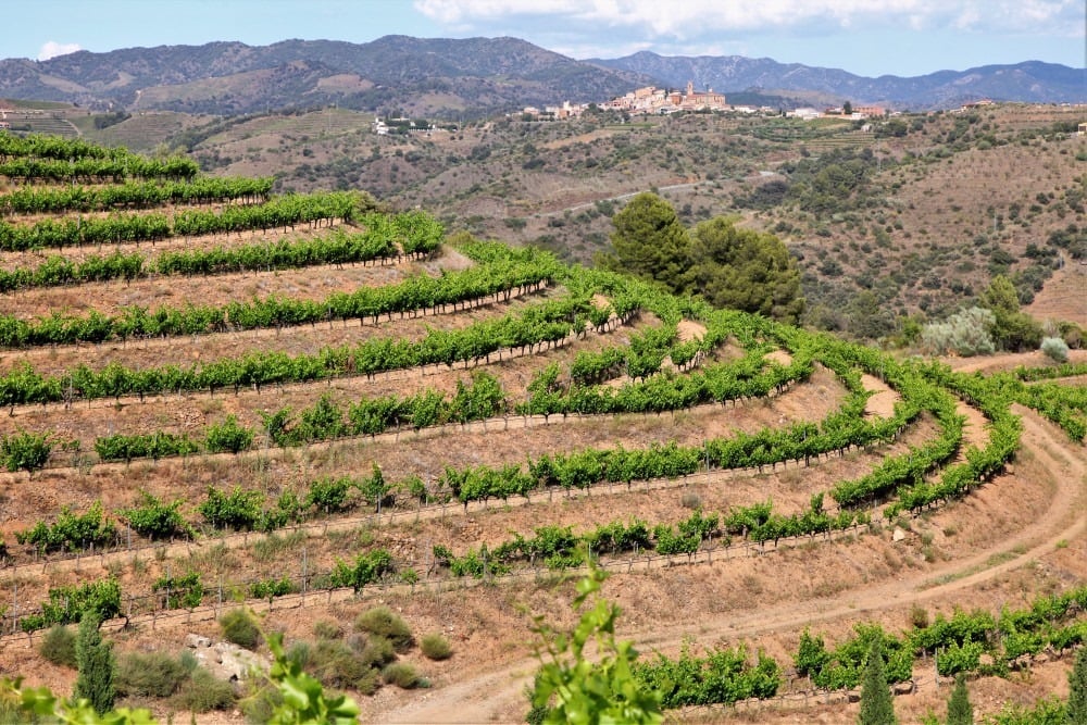 rutes a peu priorat