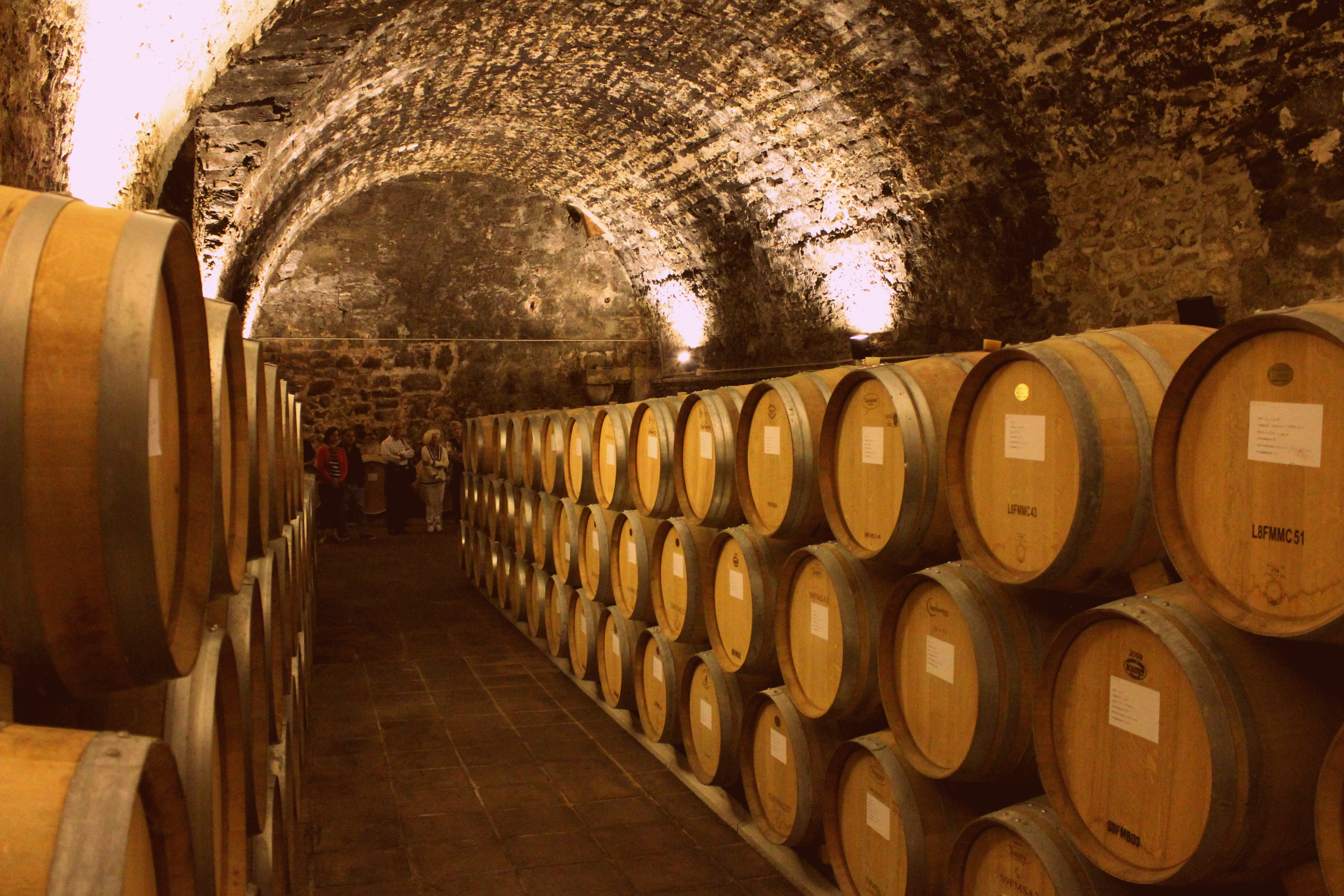 Visita celler Priorat