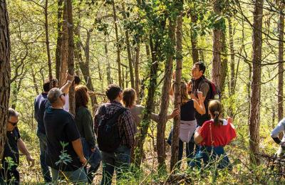 trekking priorat ruta a pie