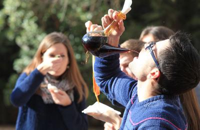 calçotada al priorat