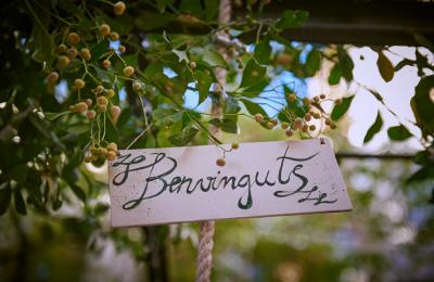 Wedding in the garden