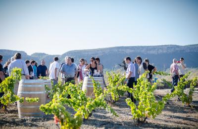 turisme rural priorat hotel hostal sport enoturisme