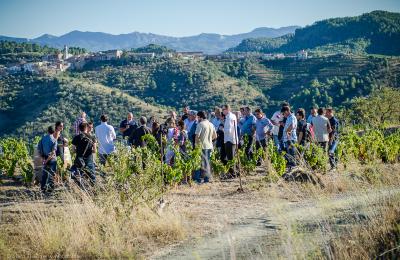 turisme rural priorat hotel hostal sport enoturisme