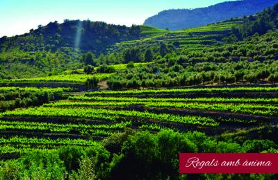 falset priorat ruta