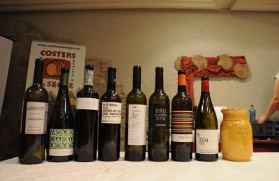 Hotel Hostal Sport Priorat - tast de vins al Priorat - enoturisme