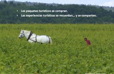 Los paquetes turísticos se compran. Las experiencias turísticas se recuerdan... y se comparten.