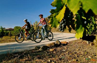 excursions amb bicicleta elèctrica