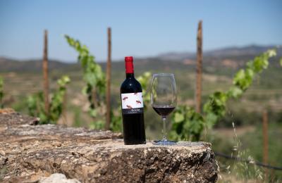 vino formiga de vellut