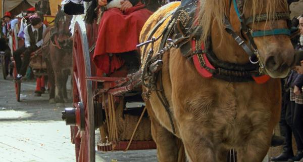 Fiesta de La Encamisada HotelHostal Sport