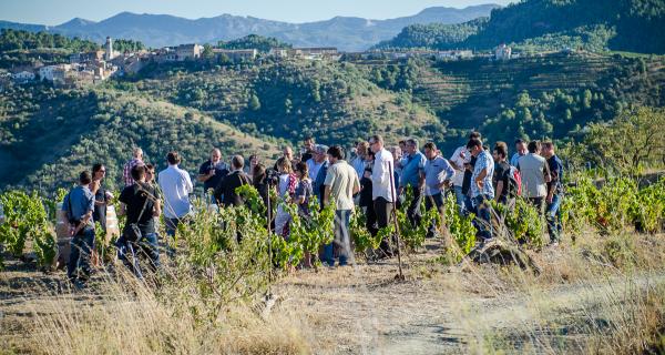 enoturisme priorat