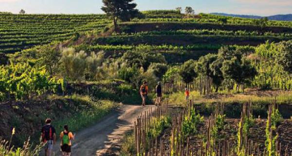 Priorat Potencial Enoturístic