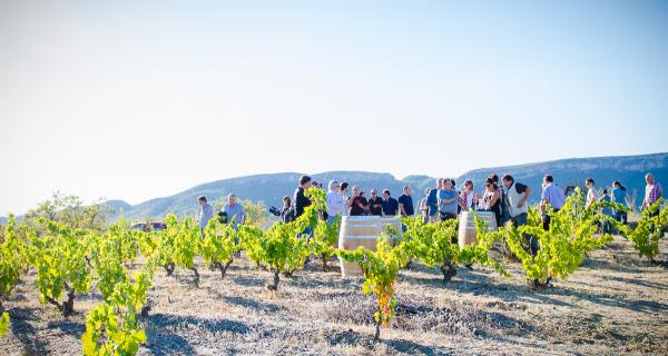 Enoturisme al Priorat