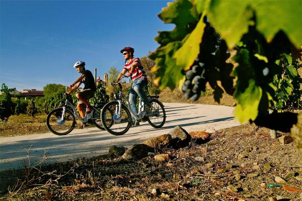 vacances_estiu_priorat_hostal_sport