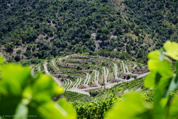 vacances_estiu_priorat_que_fer