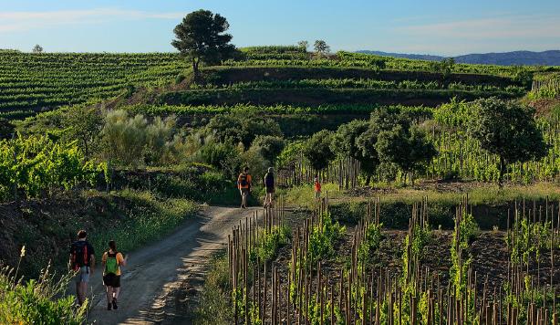 winery hotel Catalunya, hotel wine cellar letter DO Montsant DOQ Priorat, relaxing hotel Wine Tourism wine culture Tarragona, cellar dining restaurant