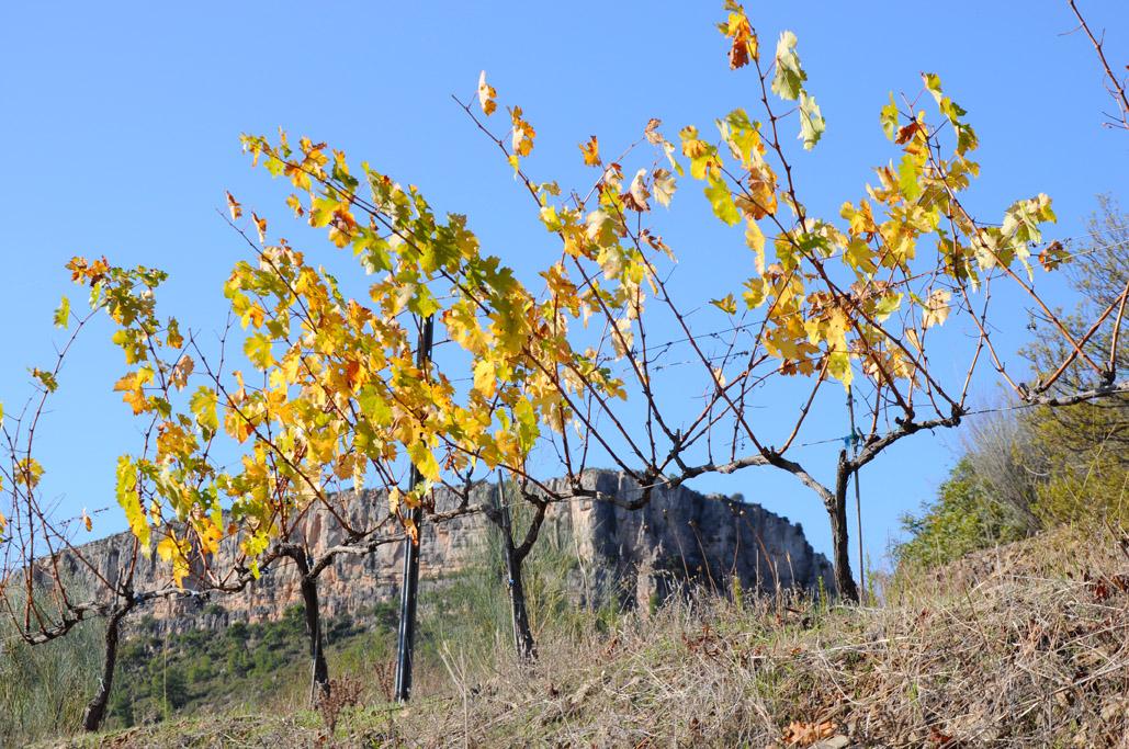 hotel hostal sport - enoturisme hotel rural priorat