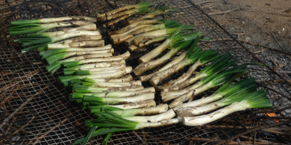 Calçots entre copes Hotel Hostal Sport