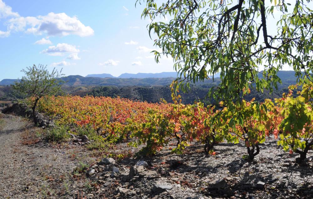 Escapa't al Priorat