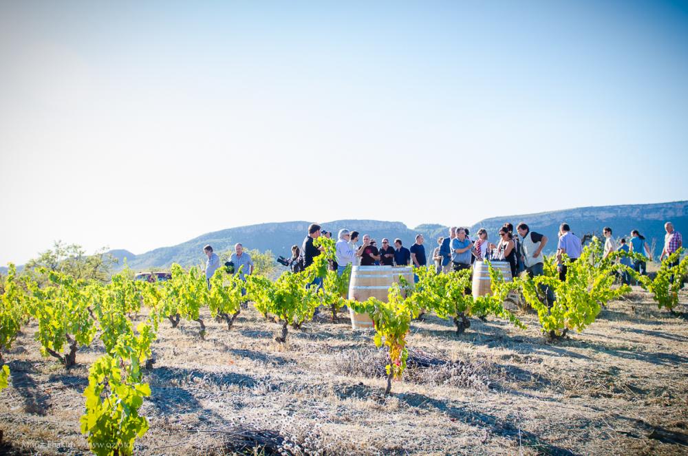 Enoturisme al Priorat