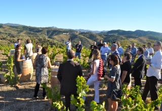 Priorat Enoturisme Experiències Enoturístiques