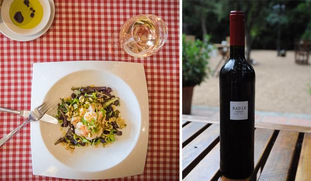 Vino Radix en la carta de vinos del restaurante hostal sport del Priorat