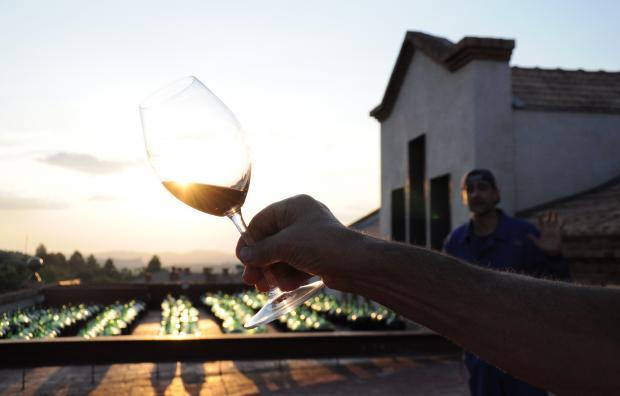 Wine summer activity in Priorat 